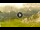 Webcam in Cortina d'Ampezzo, 1.6 mi away