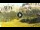 Webcam in Cortina d'Ampezzo, 0.8 mi away