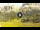 Webcam in Cortina d'Ampezzo, 0.5 km
