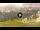 Webcam in Cortina d'Ampezzo, 2.1 km