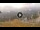 Webcam in Cortina d'Ampezzo, 1.6 mi away