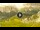 Webcam in Cortina d'Ampezzo, 0.8 mi away