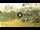 Webcam in Cortina d'Ampezzo, 4.6 mi away