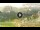 Webcam in Cortina d'Ampezzo, 2.9 mi away