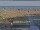 Webcam in Bibione, 0.1 mi away