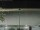 Webcam in Bibione, 2.1 mi away