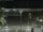 Webcam in Bibione, 2.5 km