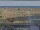 Webcam in Bibione, 9.8 km