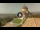 Webcam in Todi, 36 km