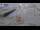 Webcam in Bodø, 97.4 km entfernt