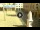 Webcam in Cento, 26.3 km entfernt