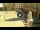Webcam in Cento, 20.7 km entfernt