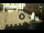 Webcam in Cento, 15.5 km