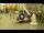 Webcam in Cento, 28.7 km entfernt
