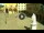 Webcam in Cento, 12.9 mi away