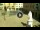 Webcam in Cento, 25.7 km