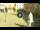 Webcam in Cento, 29.8 km