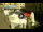 Webcam in Cento, 0.1 km