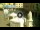 Webcam in Cento, 26.3 km