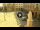 Webcam in Cento, 16.6 km