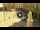 Webcam in Cento, 31.4 km