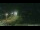 Webcam in Santa Maria, 757.3 km