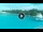 Webcam in Amilla Fushi (Atollo Baa), 1537.2 km