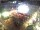 Webcam in Dortmund, 14.9 km