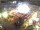 Webcam in Dortmund, 0.1 mi away