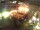 Webcam in Dortmund, 30.9 km