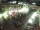Webcam in Dortmund, 16.1 km