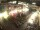 Webcam in Dortmund, 0 km entfernt