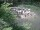 Webcam in Munich, 6 mi away