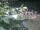 Webcam in Munich, 1.7 mi away