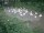 Webcam in Munich, 8.6 mi away