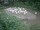Webcam in Munich, 4.4 mi away