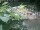 Webcam in Monaco di Baviera, 15.6 km