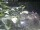 Webcam in Munich, 1.7 mi away