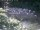 Webcam in Munich, 1.7 mi away