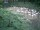 Webcam in Munich, 4.6 mi away