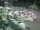 Webcam in Munich, 2.9 mi away