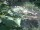 Webcam in Munich, 6 mi away