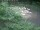 Webcam in Munich, 1.7 mi away