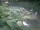 Webcam in Monaco di Baviera, 15.6 km