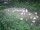 Webcam in München, 22.3 km entfernt