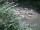 Webcam in Munich, 1 mi away