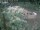 Webcam in Munich, 1.4 mi away