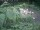 Webcam in Monaco di Baviera, 15.6 km