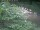 Webcam in Munich, 6 mi away