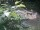 Webcam in Munich, 1.7 mi away